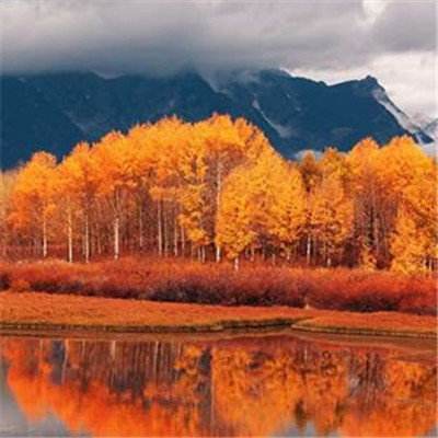 麻将胡了2的网站